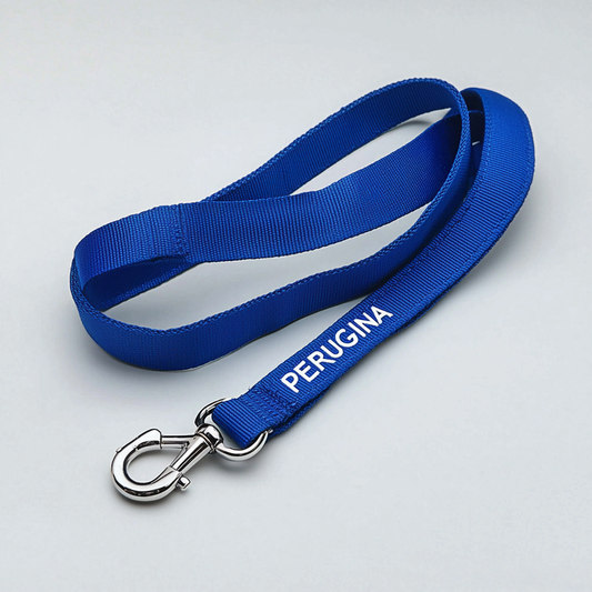 Animal leashes
