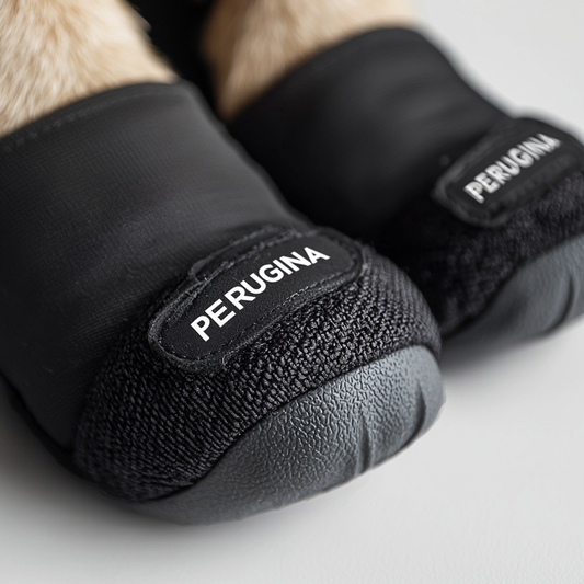 Dog shoes