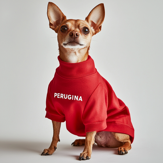Pet clothing